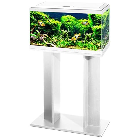 Aquarium Fish Tank with Stand and Filter Cover