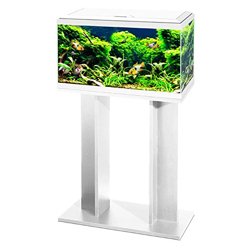Aquarium Fish Tank 60cm 58L with Stand and LED Lighting