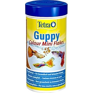 Tetra Guppy Colour Hoofdvoering Voor Guppies En Andere Levende Tandkarpers, Minivlokken Met Kleurdiktes, Zandkleurig…