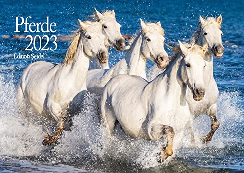 Edition Seidel Pferde Premium Kalender 2023 DIN A3 Wandkalender Weltweit Tiere Pferde Pony Pferdekalender Stute Fohlen Natur Sonne Strand Weide Meer Cover