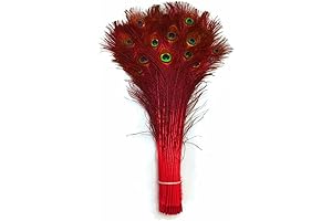 Feather Store 10 Dyed Real Peacock Eye Feathers 30-35"