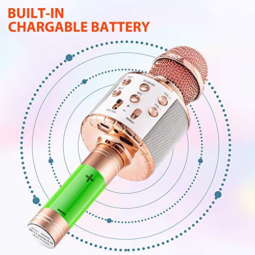 Fede Karaoke Bluetooth FM920506