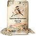 Produktbild 25 kg Sonnenblumenkerne Geschält | Vogelfutter für das Ganze Jahr | Premium Wildvogelfutter | Idealer Energiespender für Sommer und Winter | Vogelstreufutter für Wildvögel | Ohne Schale