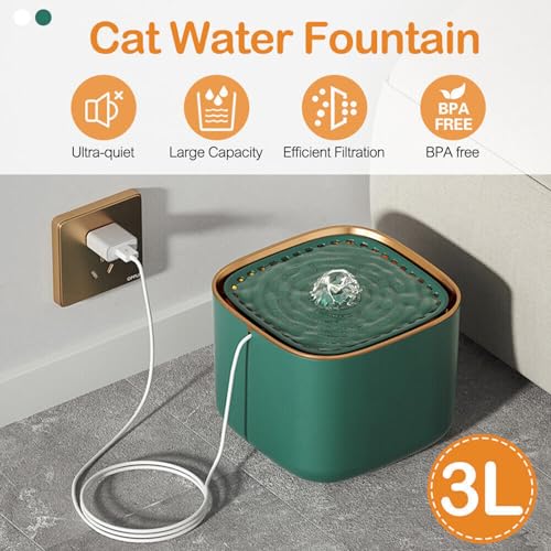 Silla refrescante ortopédica de cusacino para paseos largos y hogar 5