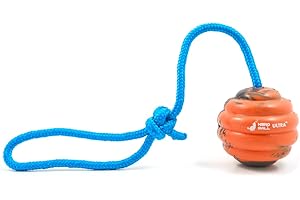 Ultra™ Durable Dog Training Ball on Rope