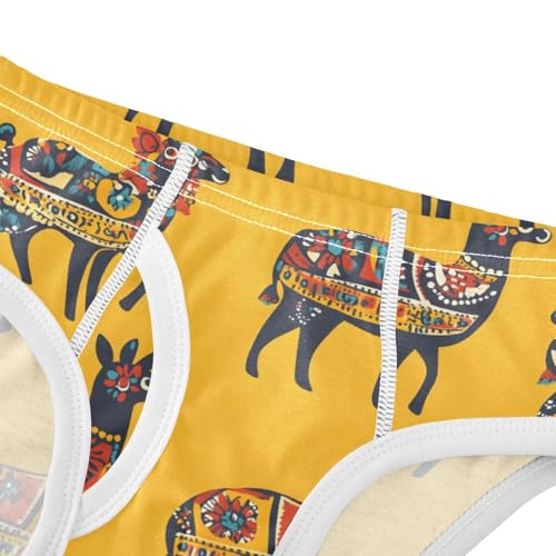 Cute Alpaca Toddler Boy's Underwear 2T 202c00294