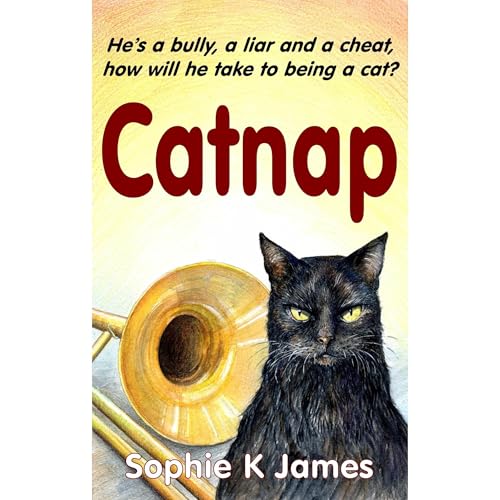 Catnap by Sophie K James episode artwork