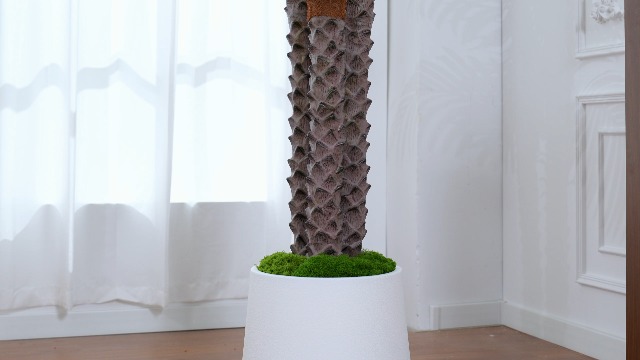 Amazon.com: Keeplush 10ft Tall Artificial Palm Tree for Outdoors