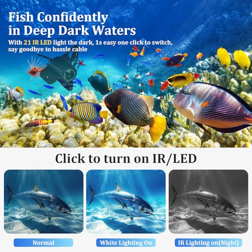 Unterwasserkamera Angeln Fishfinder, Fish Finder Kamera mit 4.3 Zoll IPS Display und 20m Kabel, Wasserdicht 220° Weitwinkel Nachtsicht Unterwasser Angelkamera für Meeresangeln Fluss Angeln Eisfischen