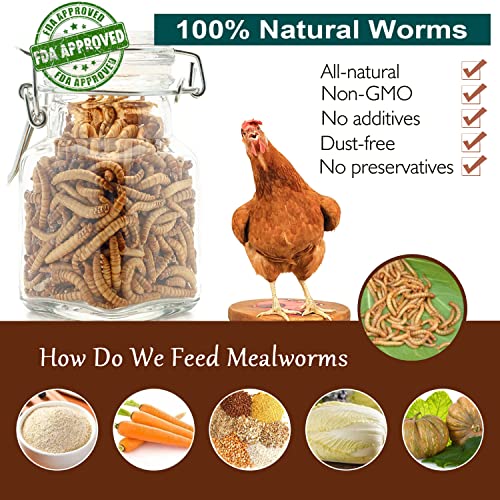 Euchirus Non-Gmo High-Protein Large Dried Mealworms For Chickens, Natural Grubs And Poultry Treats As Chicken Feed,Duck Food, Wild Birds Seed,Fish Food,Reptile Food,Amphibian Food(Mealworms-11Lb) #TOP1
