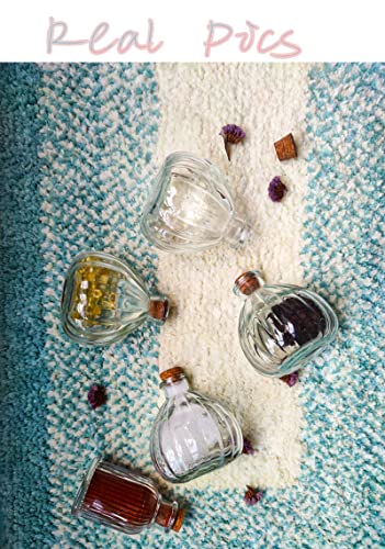 Midanggu 4 Packs Pumpkin Decorative Glass Bottles With Cork, Empty Glass Bud Vase Syrup Spice Bottles With Lids, Party Favors Decorative Bottles (7.04 Ounce（200Ml）)… #TOP7