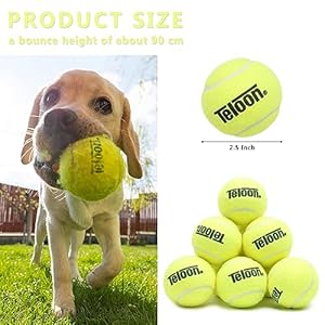 Teloon pet dog playing balls2 5 inch interactive dog tennis ballspet safe dog ball dog tennis balls for exercise  training12 count mesh carry bag pet blue 4pcs   cucciolini doodles