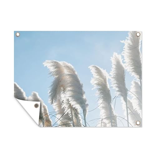 MuchoWow Poster exterieur Ciel - Herbe - Herbe de la pampa Decoration murale 120x90 cm Résistant aux intempéries/soleil