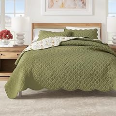 Solid Morning Blossoms