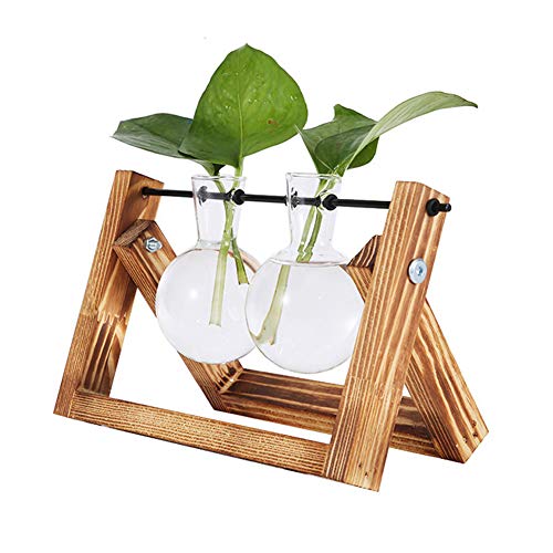 Koomiao Hydroponik Glasvase Glas vase mit Holz Halter,Hydrokultur Pflanzen Home Garten Hochzeit Dekor (Retro, 2 Flasche)