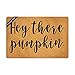 Ruiyida Hey There Pumpkin Doormat Custom Home Living Decor Housewares Rugs and Mats State Indoor Gift Ideas 23.6 by 15.7 Inch Machine Washable Fabric Top
