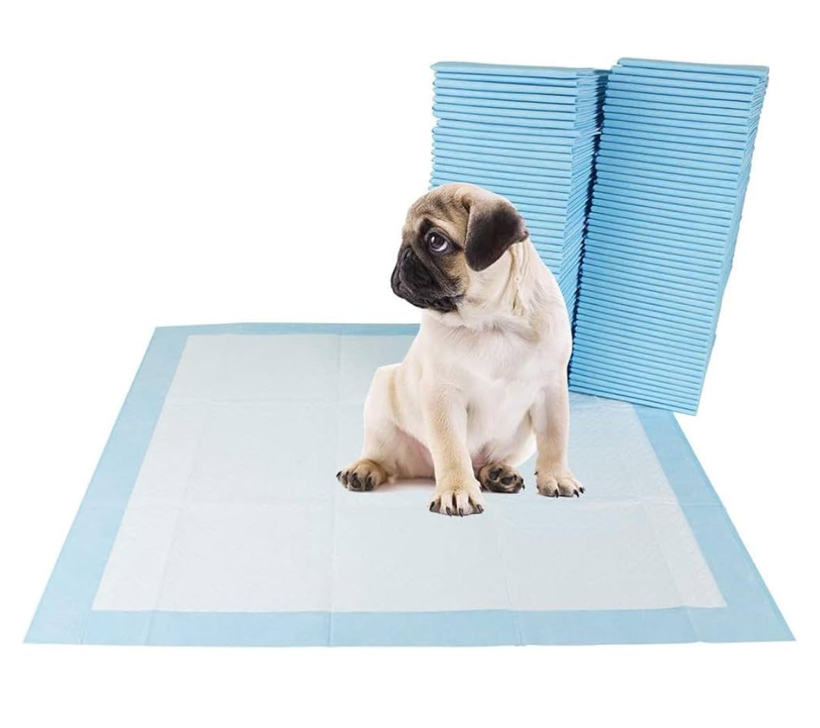 Simple Training Pads Pack of 25 Convenient for Potty 60x40 Training Absorbent and Leak Proof Ideal for Pets