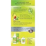 Garnier Nutrisse Ultra Coverage Hair Color, 600 Deep Light Natural Brown (Spiced Hazelnut) Permanent Hair Dye (Packaging May Vary) - Image 2