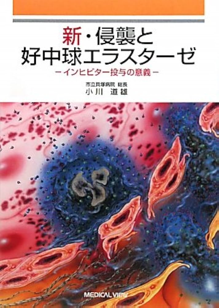 metropol Yös トルコ大学参考書 TR-YOS Geometry Question Bank (Beginner Level) - Metropol