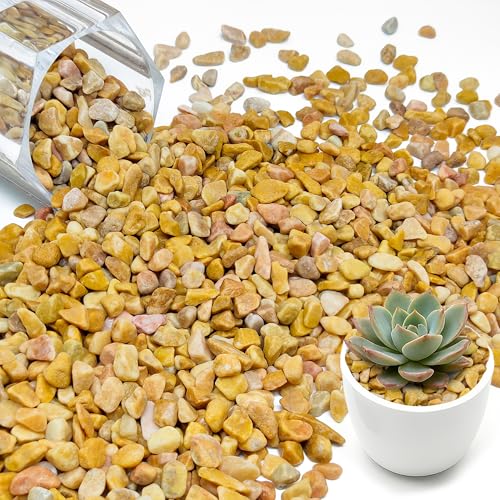 5|h FA Ap GhE  AAp O Ϗ܋^N  k͔|(4-6mm