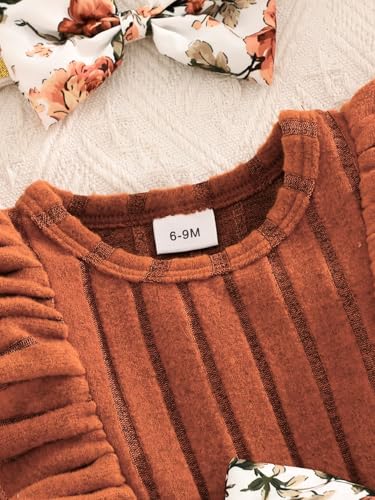 Baby Long Sleeve Fall Dress Baby Girl Clothes Ruffle Toddler Casual Dress Infant Cute Clothes Winter Outfits4