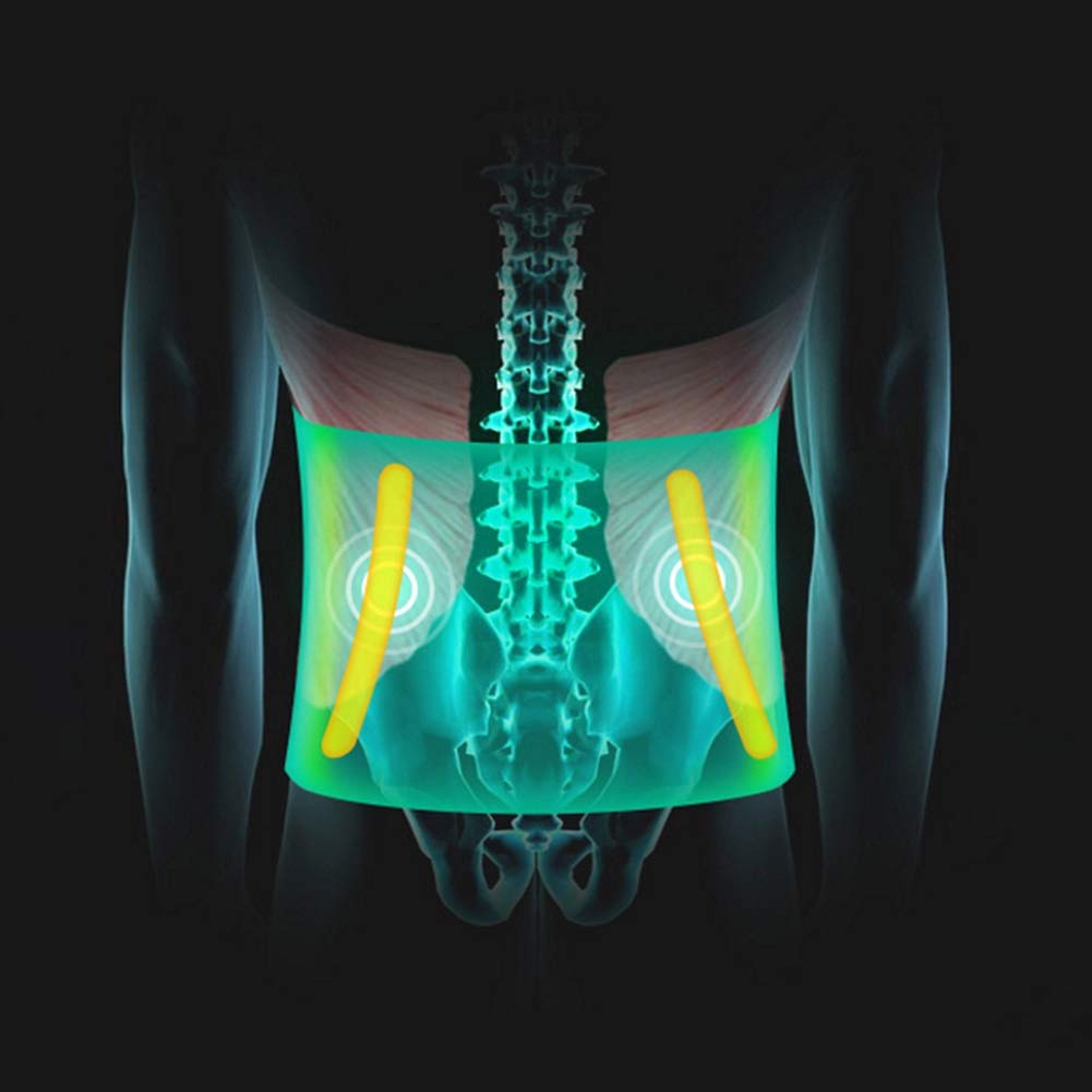 Soporte Lumbar Cinturón Inferior Atrás Apoyo para Hombres Y Mujer Ciática Hernia De Disco Escoliosis Dolor Alivio Ajustable Correas (Size : XXL)
