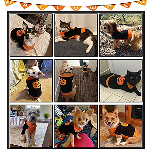 DOGGYZSTYLE Halloween Kürbis Hund Pullover Haustier Kostüm Fashion Urlaub Party Puppy Geschenk für Hunde und Katzen (Kürbis-A, S)