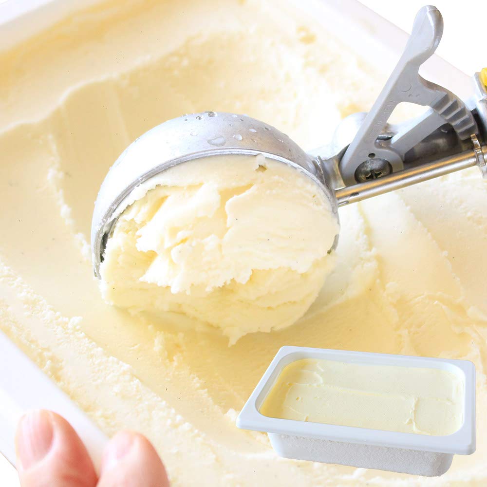 北国からの贈り物 アイスクリーム 業務用 バニラ 北海道 くりーむ童話 手づくり アイス