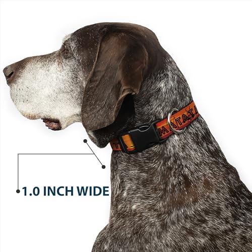 Buckle-Down Plastic Clip Collar - Lion King Hakuna Matata Sunset Oranges/Black - 1' Wide - Fits 15-26' Neck - Large