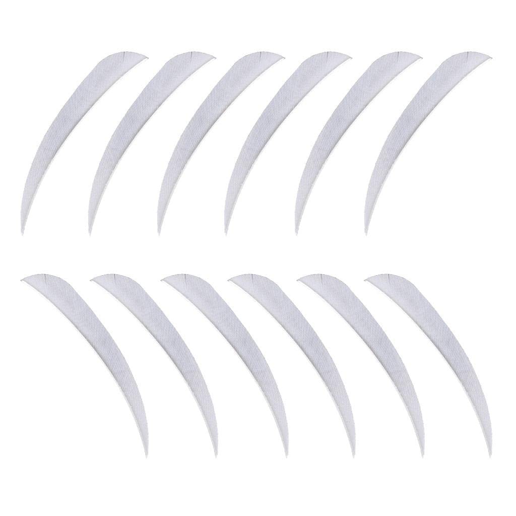 VELURA 12pcs 3inch Archery Arrow Turkey Feathers Fletchings Vanes White|12 Pieces Arrow | Fletches| Archery | Outdoor Sports |Sporting Goods
