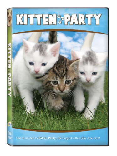 Kitten Party