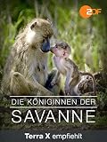 Die Königinnen der Savanne