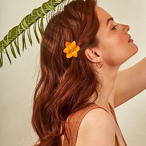 Rahua Enchanted Island Conditioner, 2 Fl Oz, Promotes Strength, Hair Growth And Gives Shine To All Hair Types, Nourishing Hair Conditioner For Men And Women #TOP1