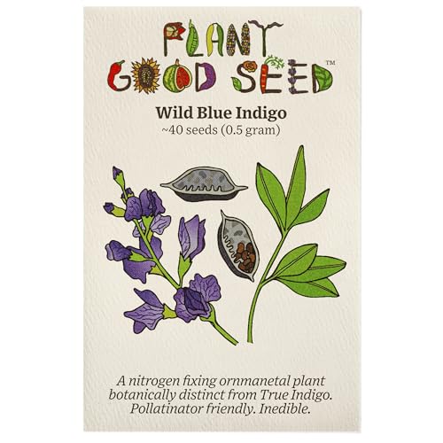 Plant Good Seed Wild Blue Indigo Seeds