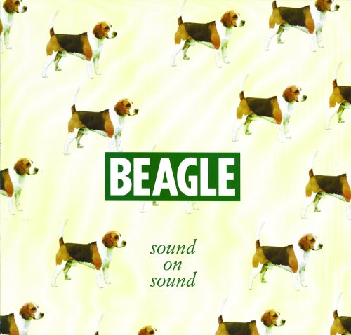 Beagle