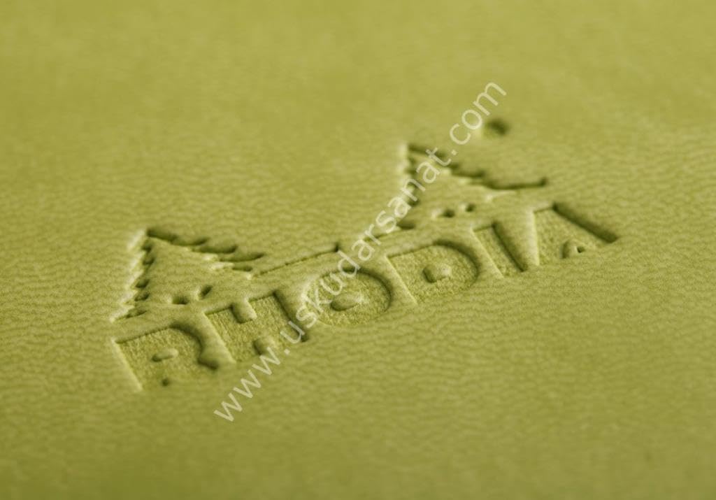 Rhodia Rhodiarama A5 Webnotebook, 5.5 in x 8.25, Lined - Anise (118746)