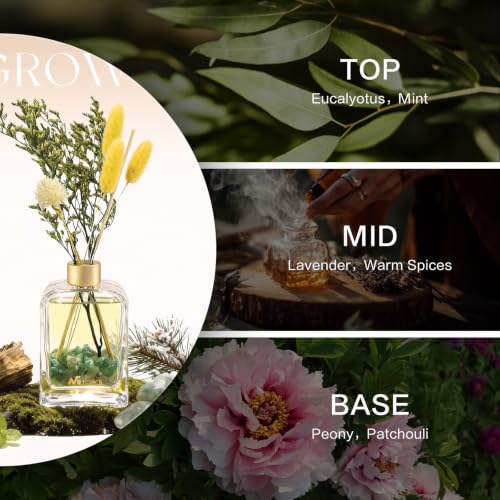Set Reed Diffuser Aromaterapia 6 oz con Flores y Cristales miniatura 3