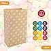 vvhippo 20 Piezas Bolsas de Papel Kraft para Regalos con 36 Pegatinas Imagen de vvhippo 20 Piezas Bolsas de Papel Kraft para Regalos con 36 Pegatinas