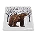 Paperproducts Design New Bone China Small Square Plate Featuring The Distinctive Winter Bear Design, 5.75 x 5.75", Multicolor