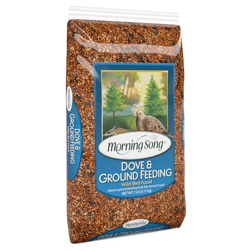 Morning-Song-Dove-Ground-Feeding-Wild-Bird-Seed