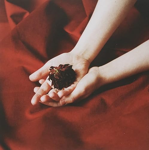 Miniatura 4 de The Gods We Can Touch