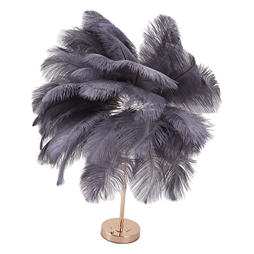 Yunir Artificial Ostrich Feather Table Lamp, USB Rechargeable Decorative Lights with 3 Light Tones