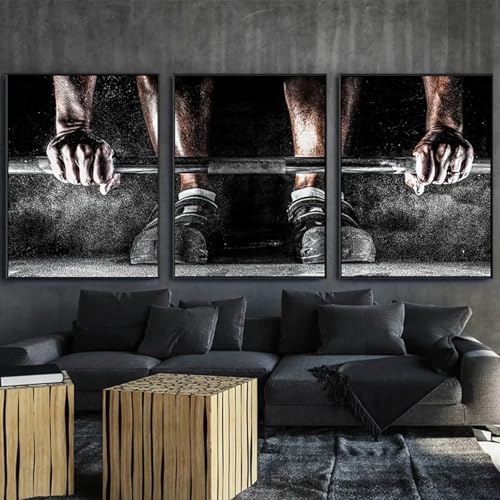 Toile musculation haut de gamme 3 pièces 70x90cm encadrées pour intérieur