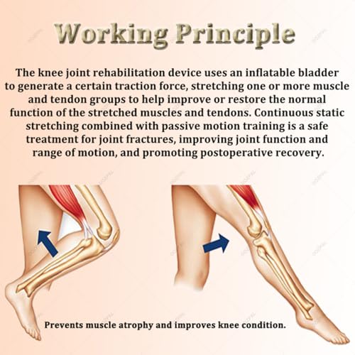 Entrenador de Rehabilitación de Rodilla con Movimiento Pasivo miniatura 4