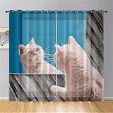 Hiseng Cortinas Salon Modernas,107x213cm)