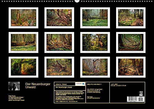 Der Neuenburger Urwald (Wandkalender 2018 DIN A2 quer): Peter Roder mit faszinierenden Bildern aus dem Naturschutzgebiet Neuenburger Urwald im ... ... Natur) [Kalender] [Apr 01, 2017] Roder, Peter