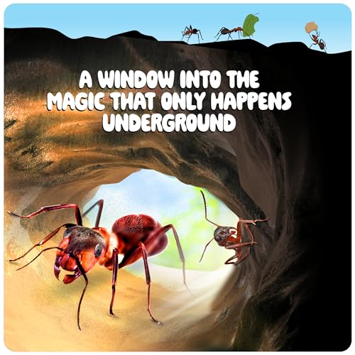 Ant Farm Kit for Kids - Farms Colony - Includes Ants Voucher - Sand Habitat Kits - Bug Terrarium House - Educational Science Gifts for Kid - Nature Learning Toys for Boys, Girls & Adults - Image 6