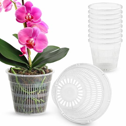sturiz 8pcs Orchid Pots Clear Plastic Plant Pots With Drainage 11cm Orchid Plant Pot with Holes or Orchids Repotting Kit Succulents Nursery Container for Root Growth Houseplants