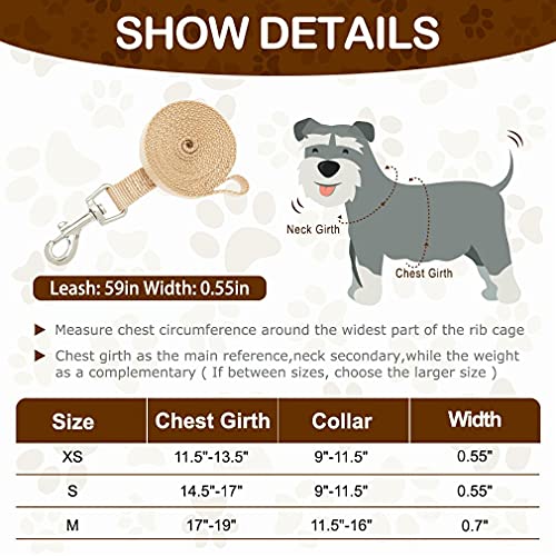 PUPTECK Adjustable Pet Harness Collar and Leash Set Step in for Small Dogs Puppy and Cats Outdoor Training and Running… - Image 3