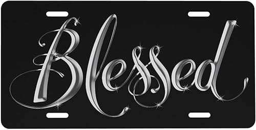 Miniatura 10 de Placa de matrícula de motocicleta oxidada con pintura, bandera americana vintage, placa de aluminio para auto de 6 x 12 pulgadas, cubierta de placa